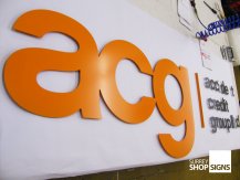 ACG Logo flat letters