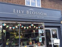 lily blossom signage