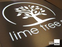 lime tree 3